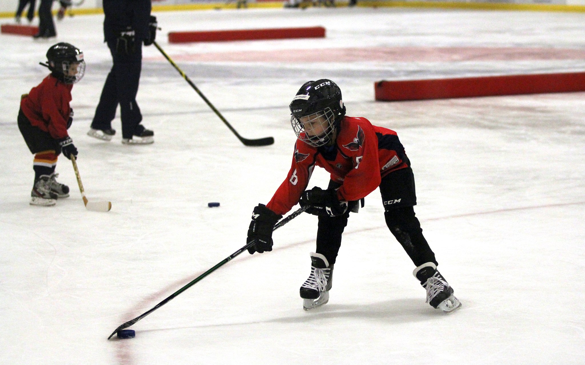 Potomac Patriots Hockey - DC Sports Connection